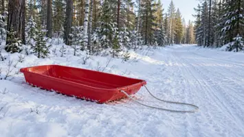 Tyhjä punainen tavara-ahkio ja vetonaru lumisen metsäpolun reunalla